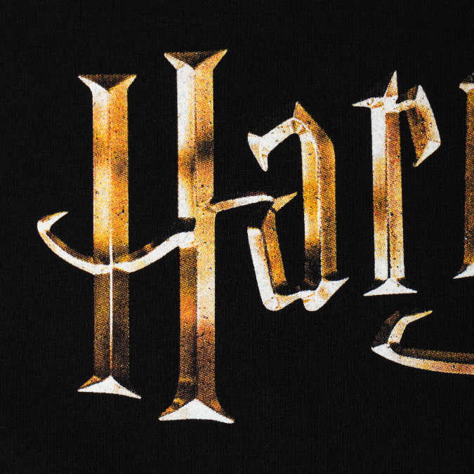 Welcome Skateboards x Harry Potter - Arrival Tee - Black