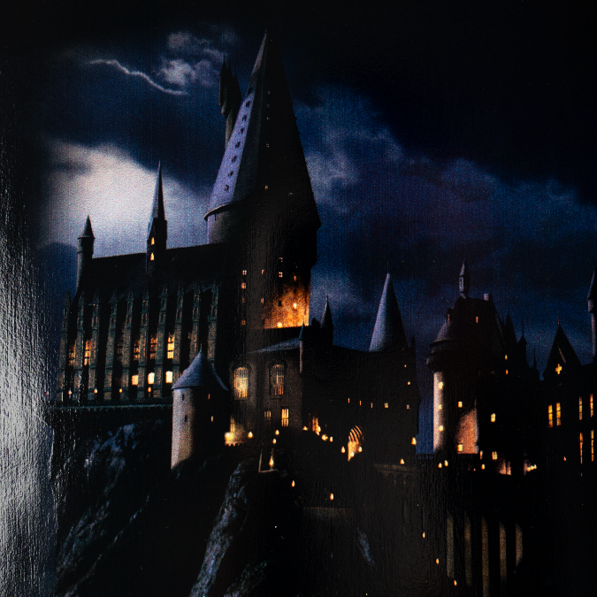 Welcome Skateboards x Harry Potter - Arrival On Slappy Slap Black/Gold Foil 9.5"