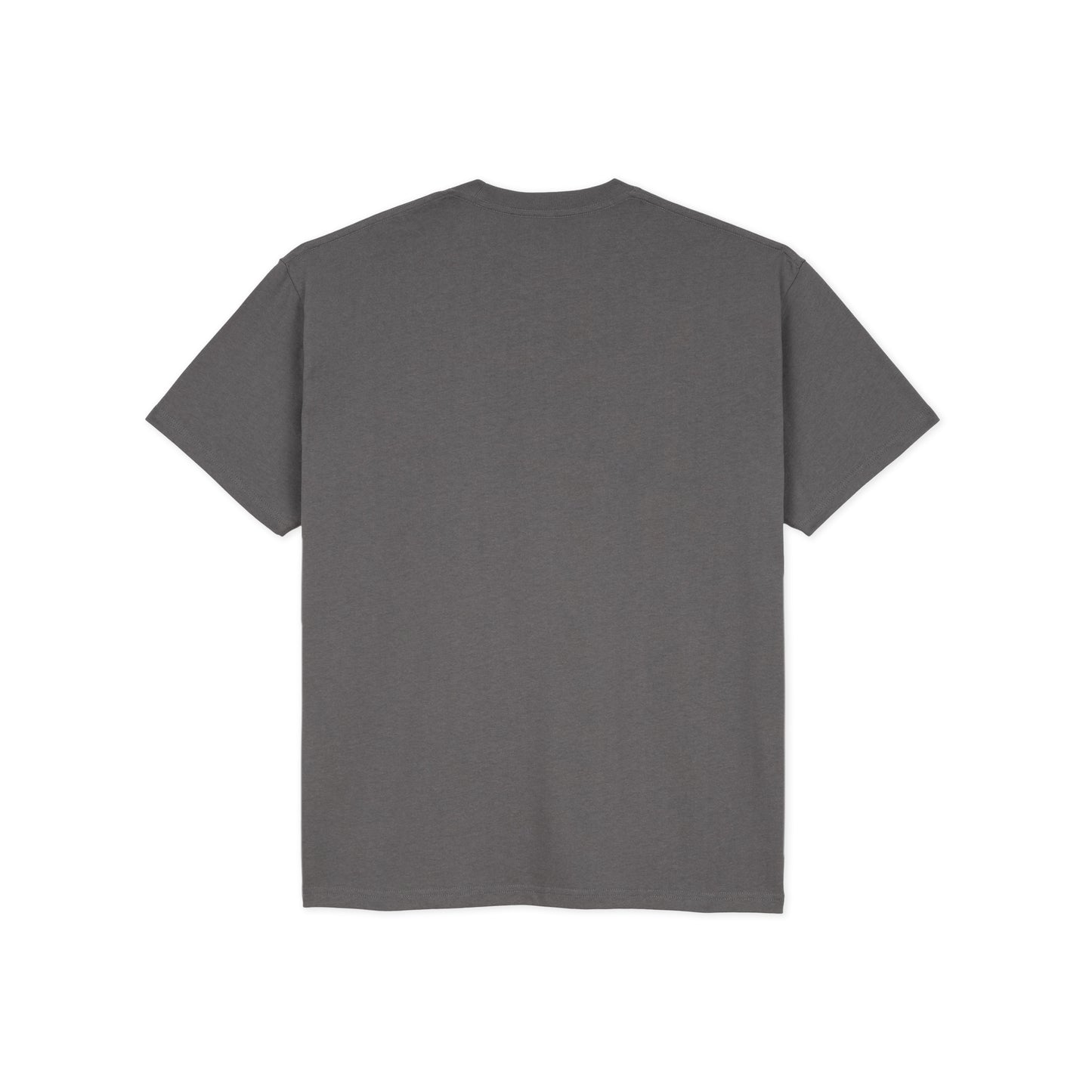 Polar Skate Co. - Tee | Everything Is Normal - Graphite