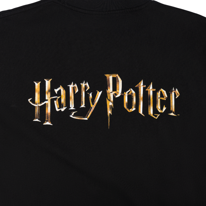 Welcome Skateboards x Harry Potter - Arrival Tee - Black
