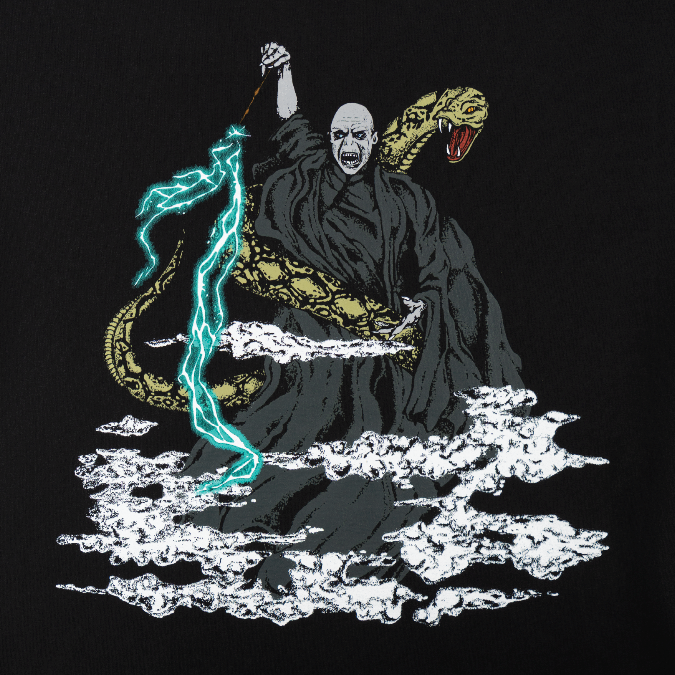 Welcome Skateboards x Harry Potter - Voldemort Tee - Black