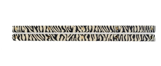 Speedway GT - Skateboard Rails - Zebra